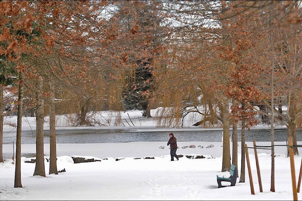 Snow_Sardis_Park